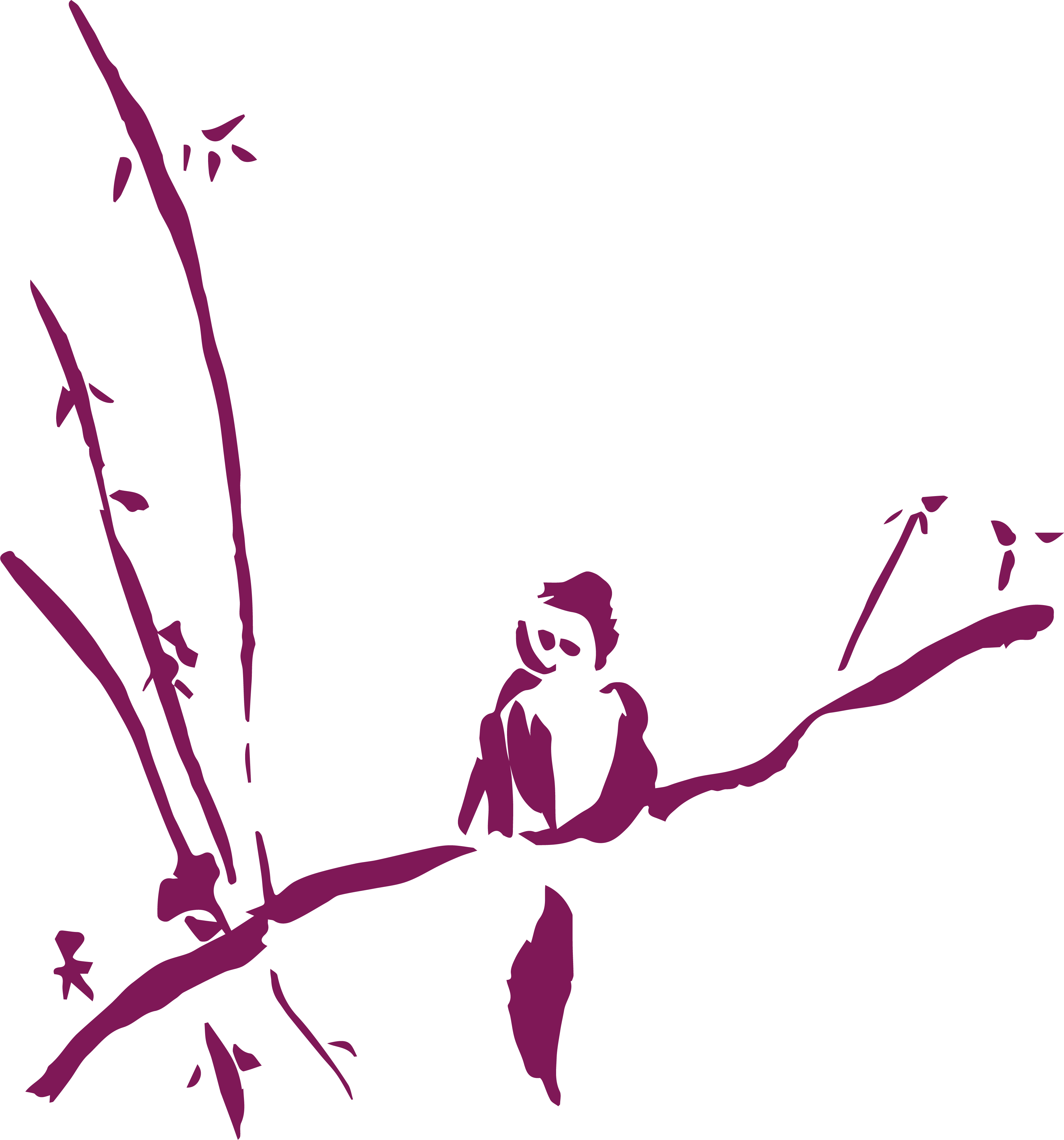 oiseau rose